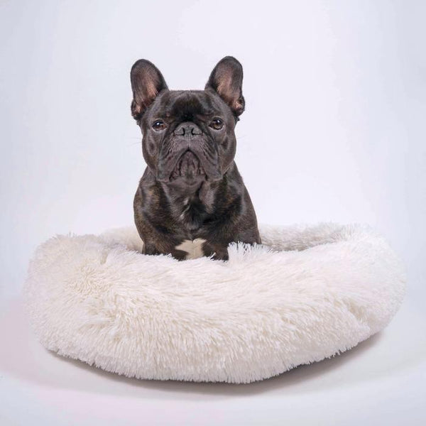 Cuddler Dog Bed - Ivory