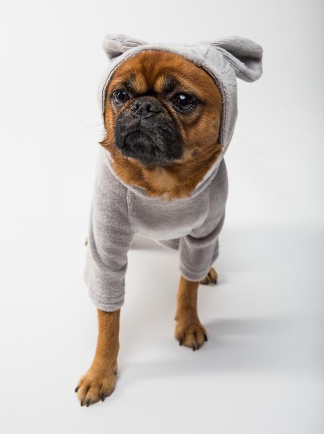 Fleece Dog Onesie - Grey