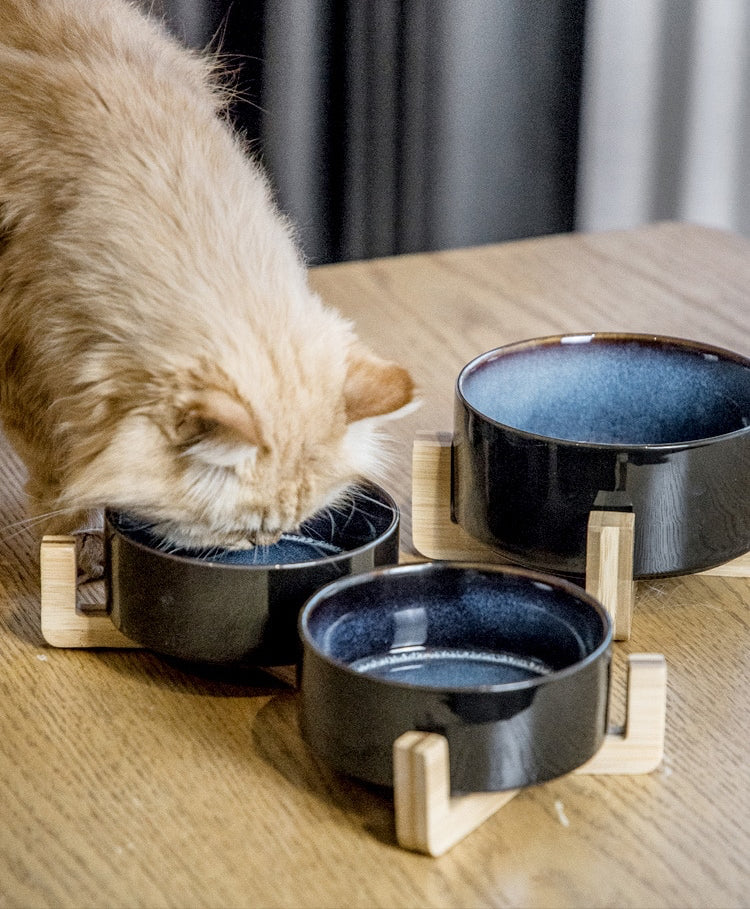 Nordic Style Ceramic Pet Bowls